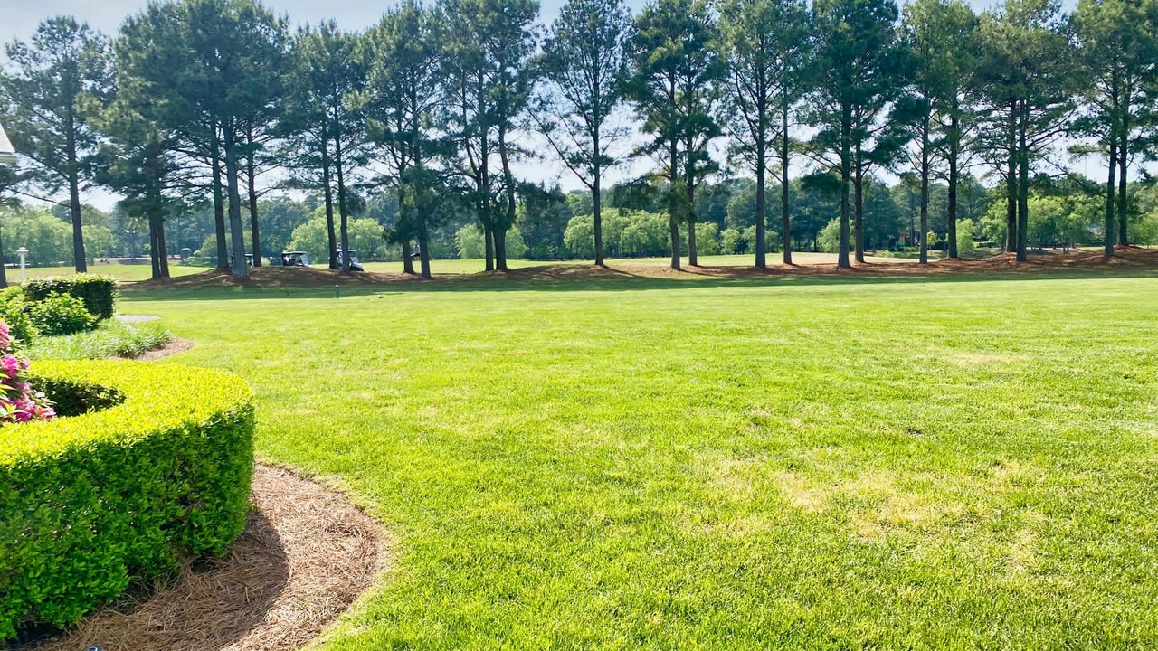 Photo of Others in Cape Charles