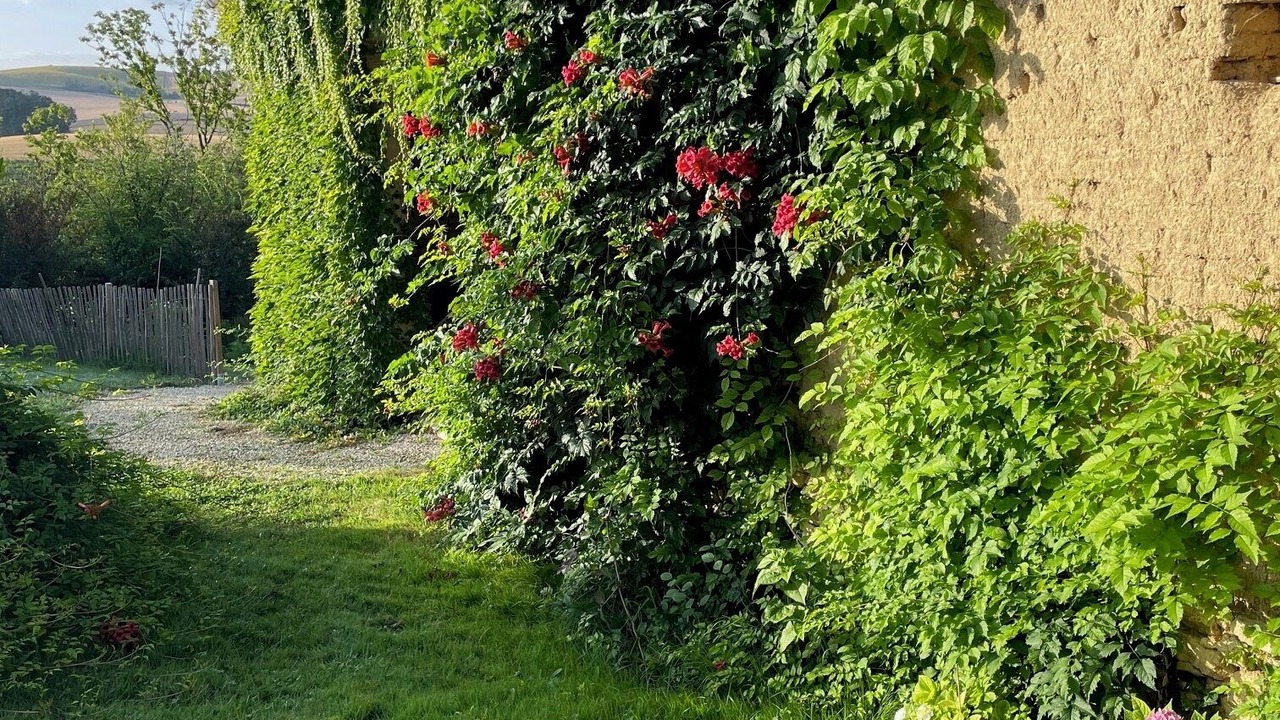 Photo of Outdoor in Marsac
