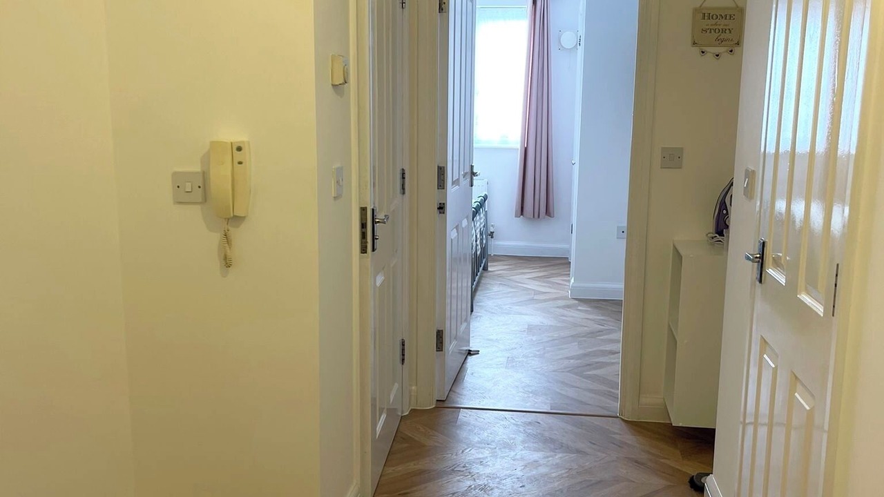 Photo of Others in Alibon