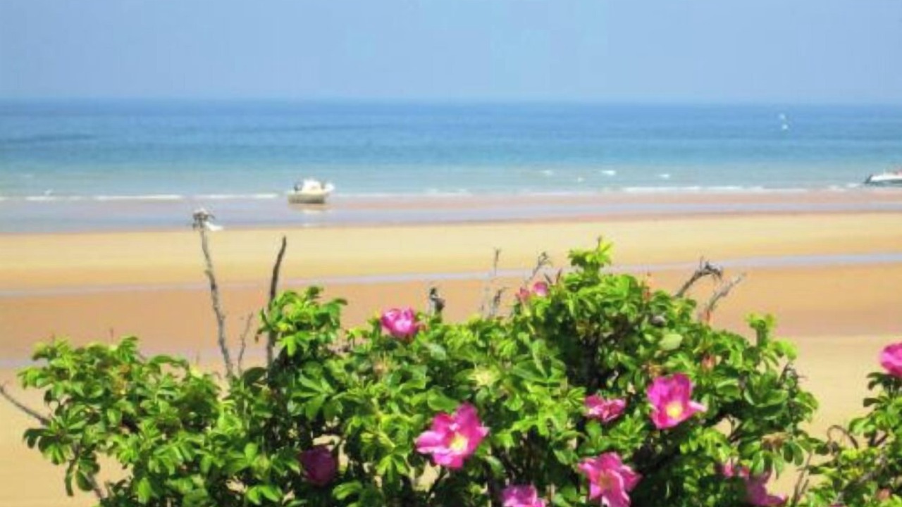 Photo of Others in Saint-Laurent-sur-Mer