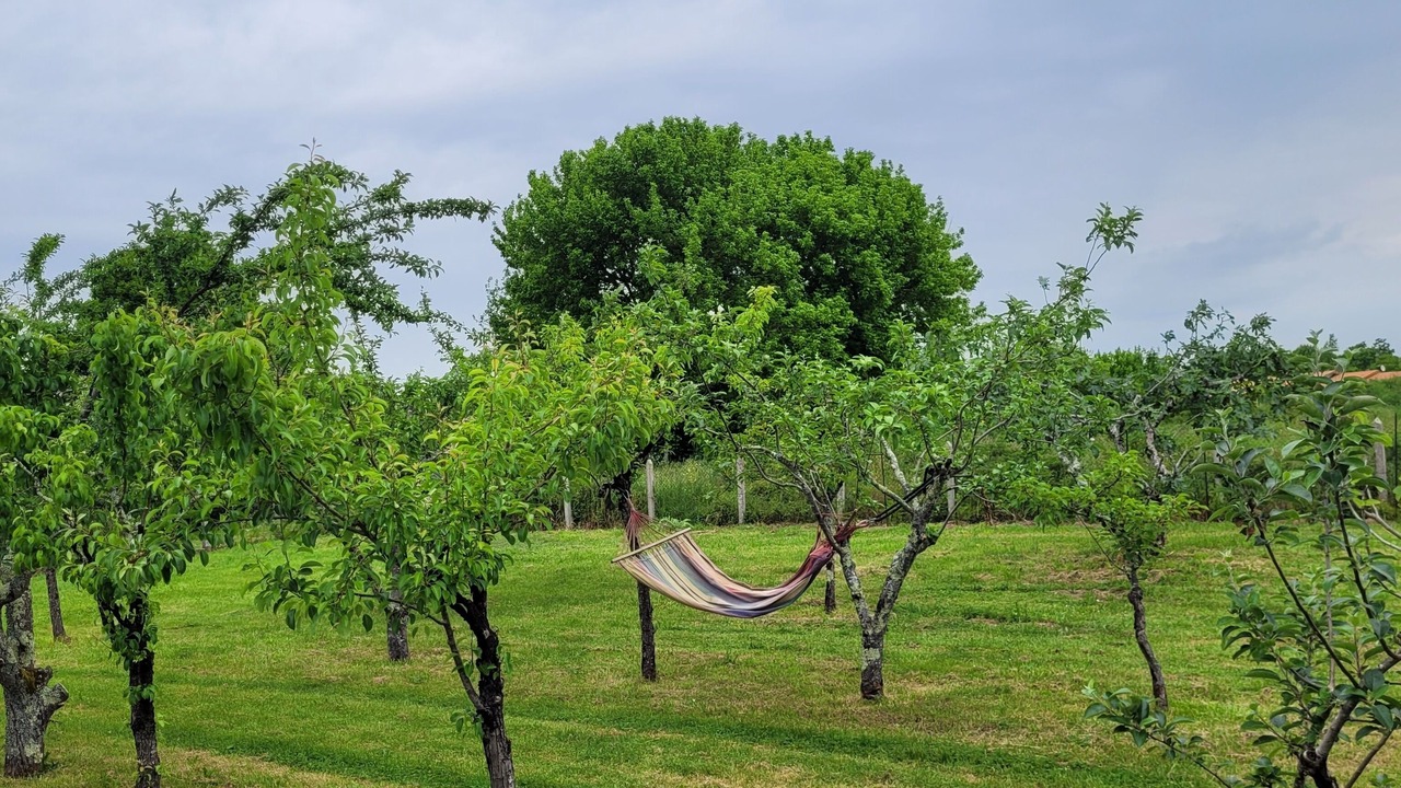 Photo of Outdoor in Lesparre-Medoc