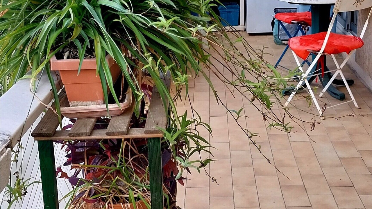 Photo of Outdoor in Estanove