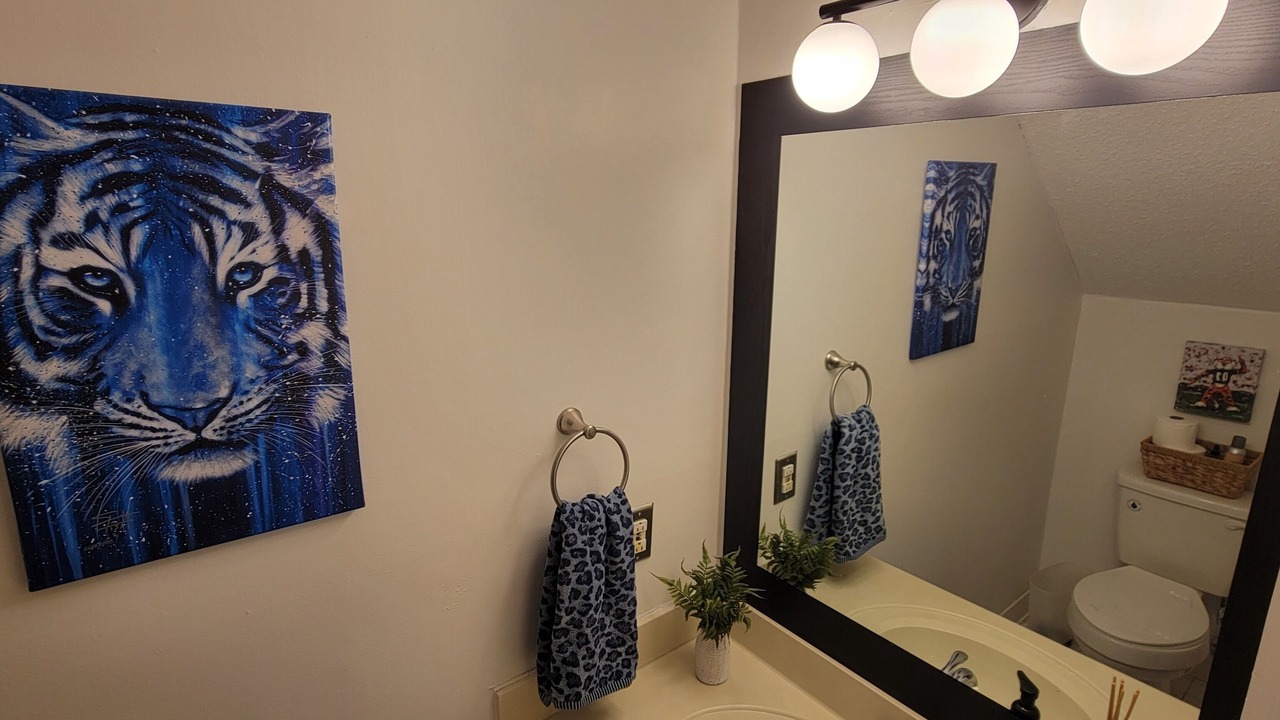 Photo of Bathroom in Auburn
