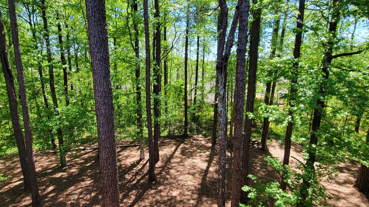 Photo of Outdoor in Auburn