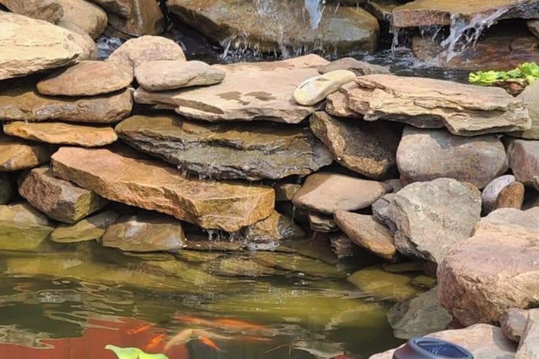 Photo of Outdoor in Flatwoods