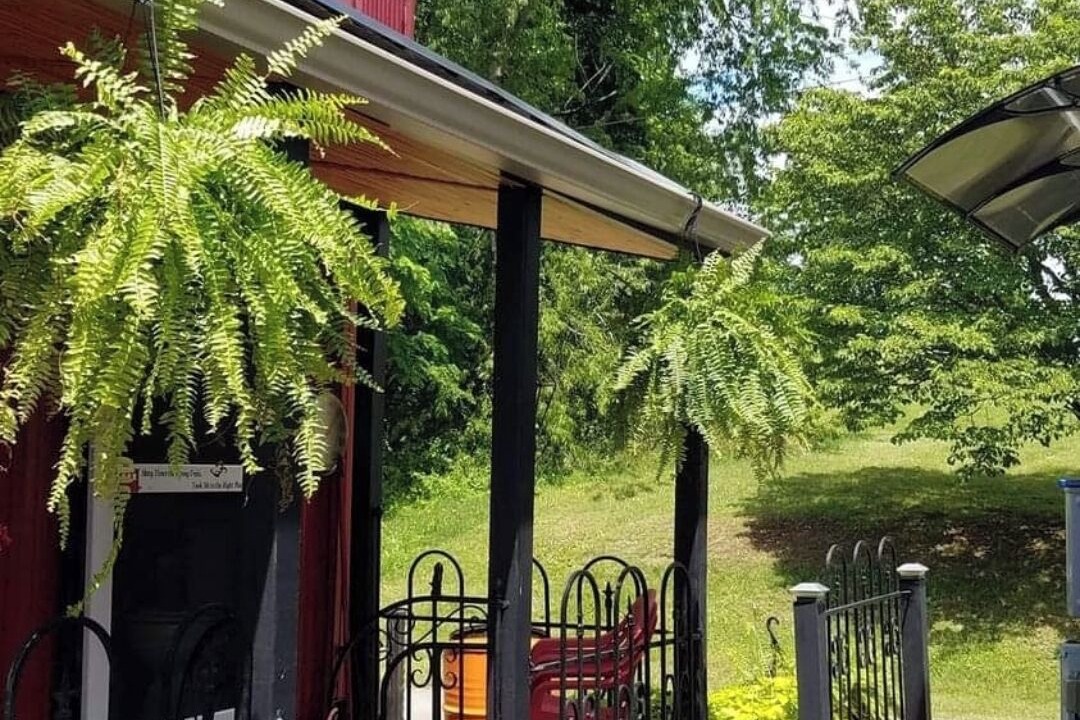 Photo of Outdoor in Flatwoods