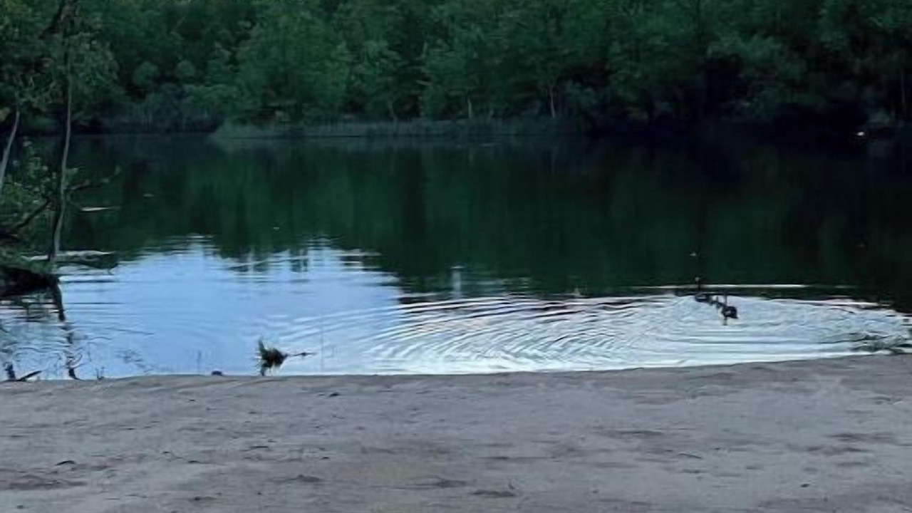 Photo of Others in Stevensville