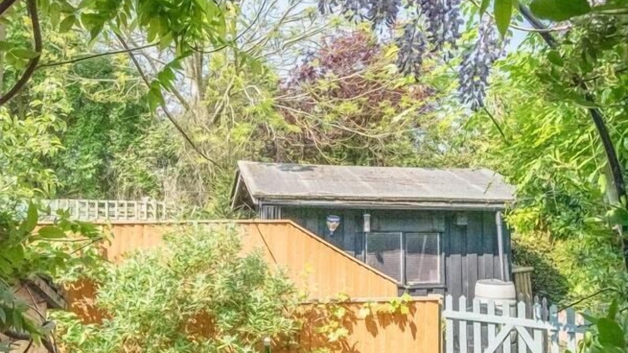 Photo of Outdoor in Darsham