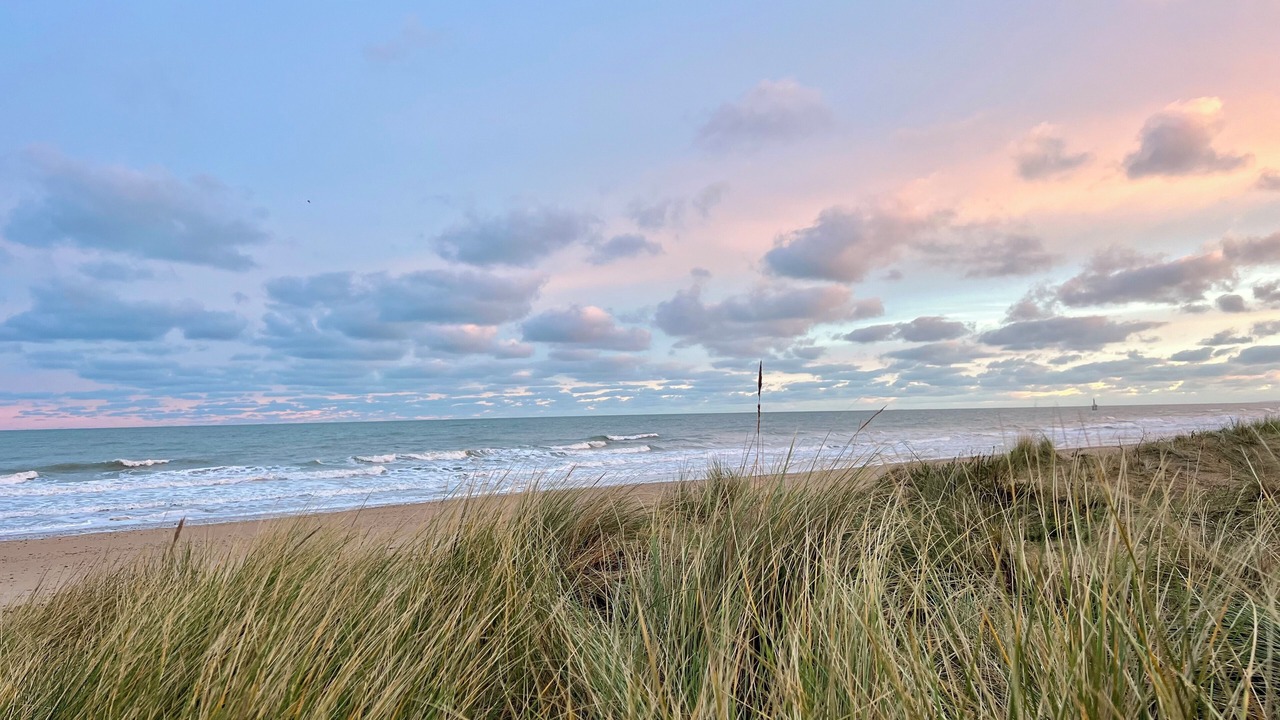 Photo of Others in Courseulles-sur-Mer