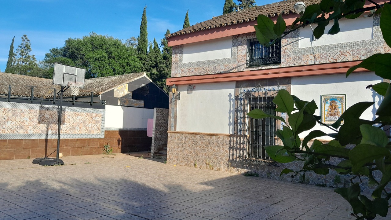 Photo of Outdoor in Dos Hermanas