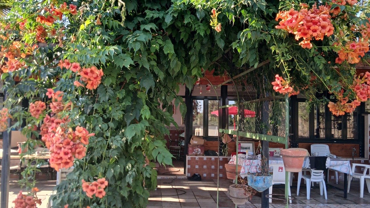 Photo of Outdoor in Dos Hermanas