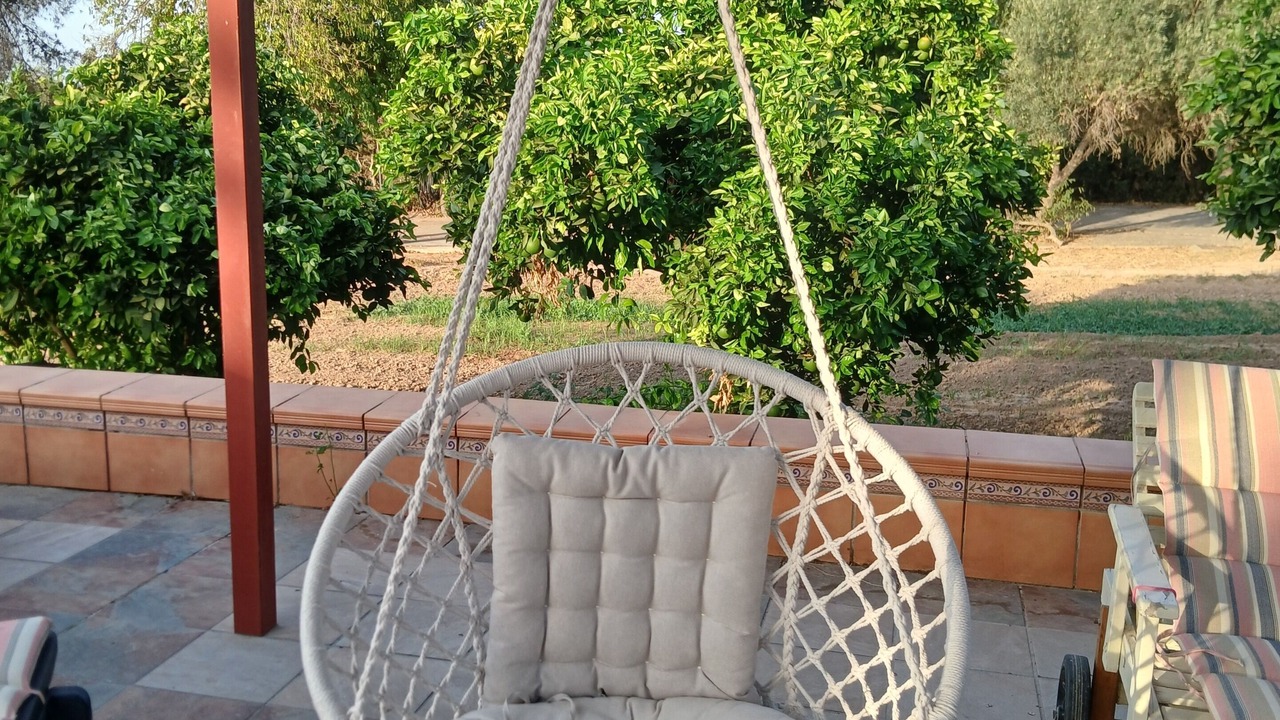 Photo of Patio Balcony in Dos Hermanas