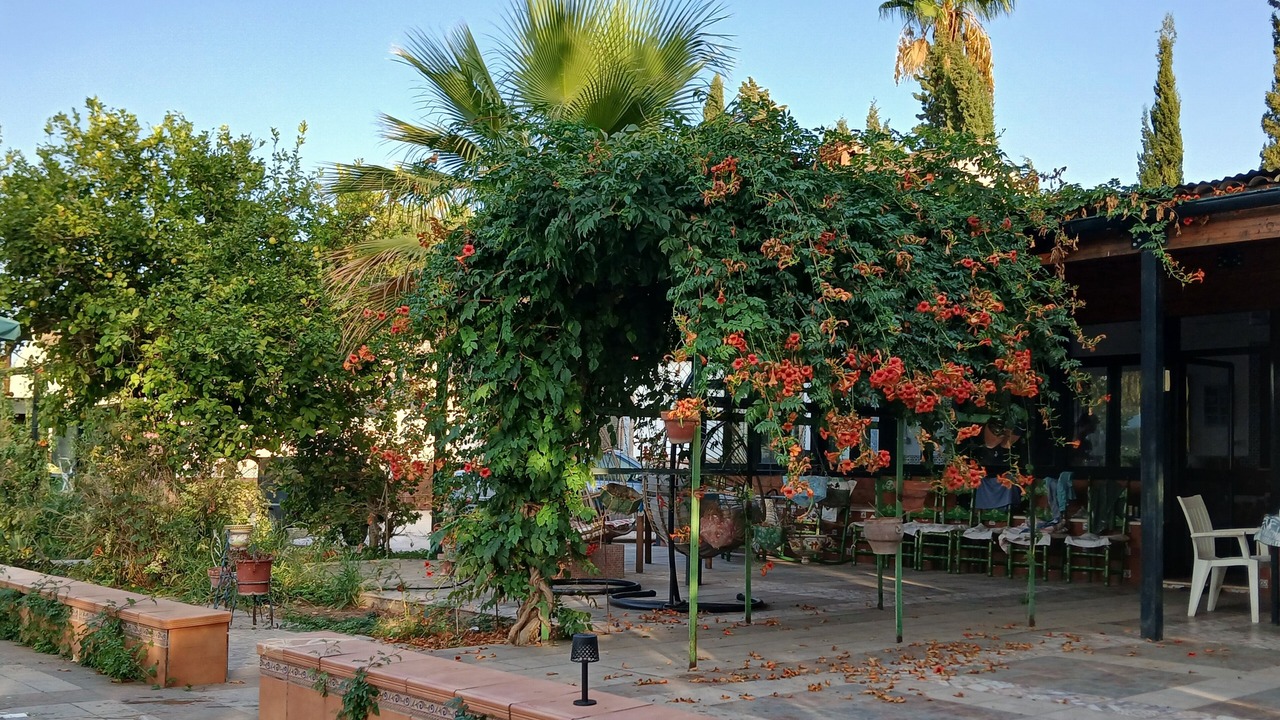Photo of Patio Balcony in Dos Hermanas