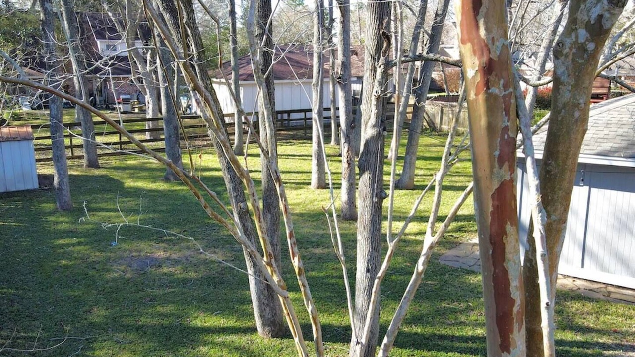 Photo of Outdoor in Friendswood