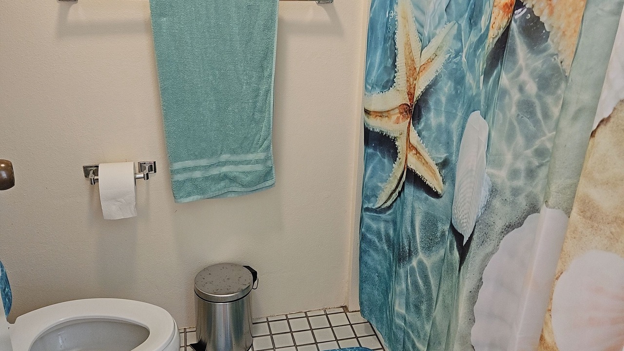 Photo of Bathroom in Hilo