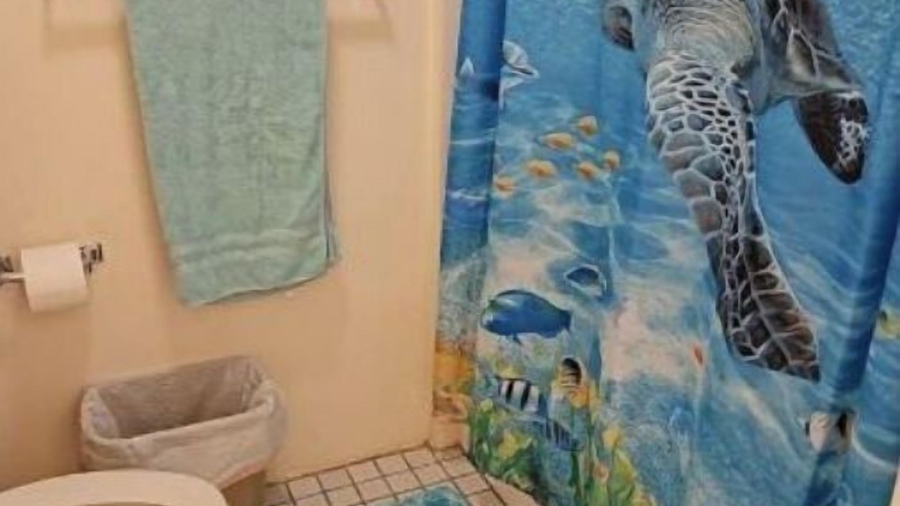 Photo of Bathroom in Hilo