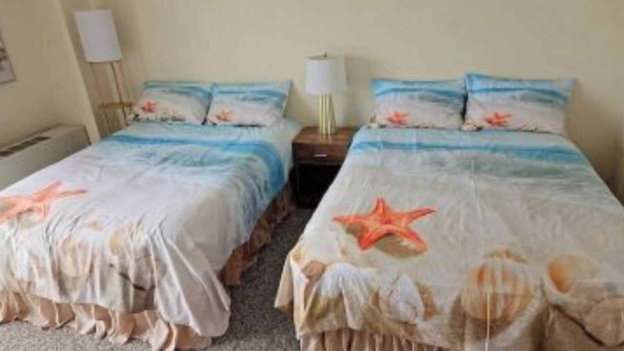 Photo of Others in Hilo