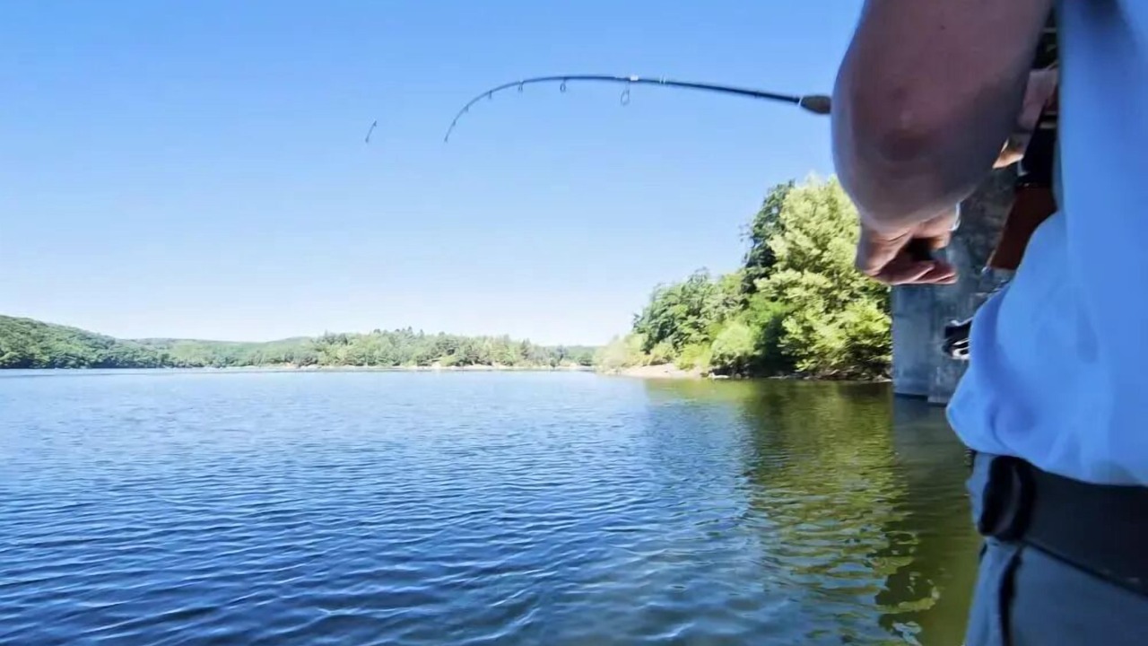 Photo of Others in Saint-Gerons