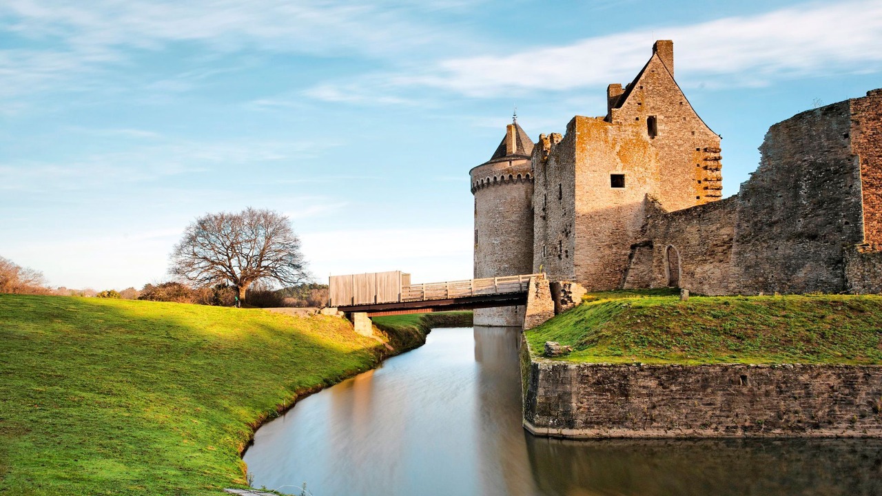 Photo of Others in Penvins