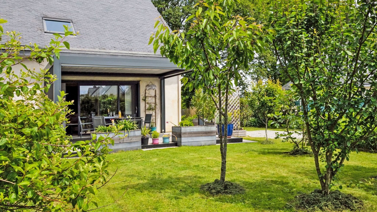 Photo of Others in Penvins