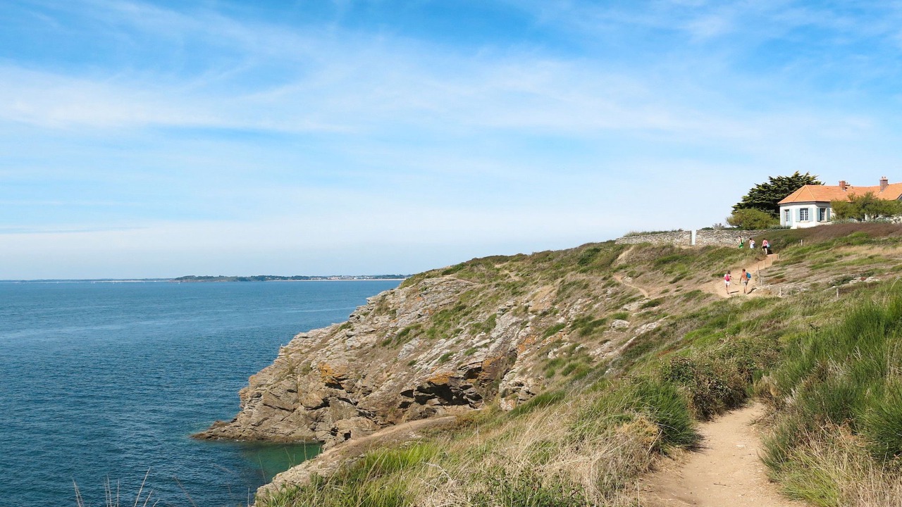 Photo of Others in Penvins