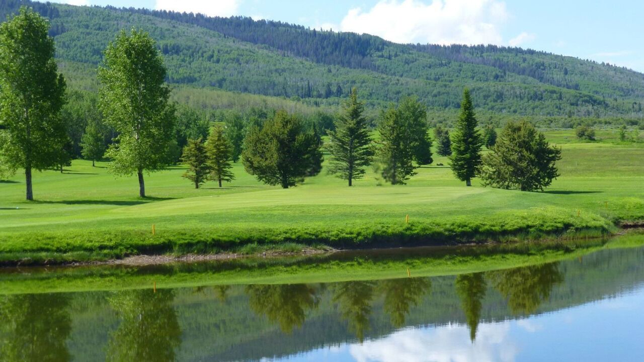 Photo of Others in Tetonia