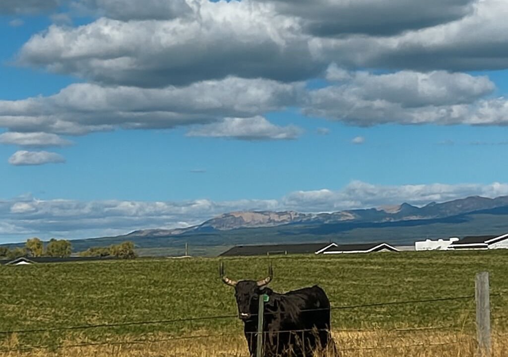 Photo of Others in Tetonia