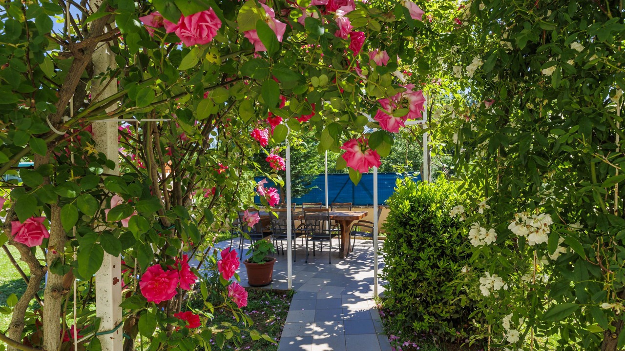 Photo of Outdoor in Cancini
