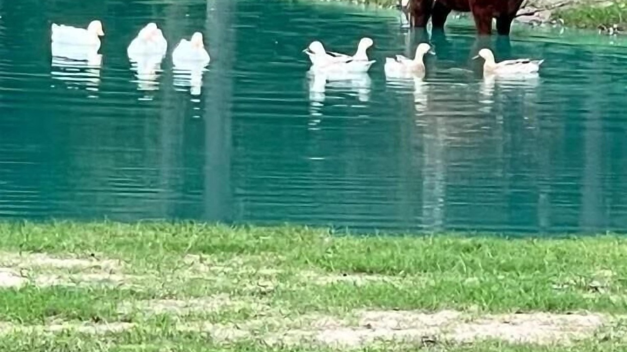 Photo of Others in Conroe
