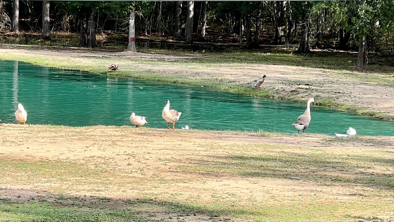 Photo of Others in Conroe