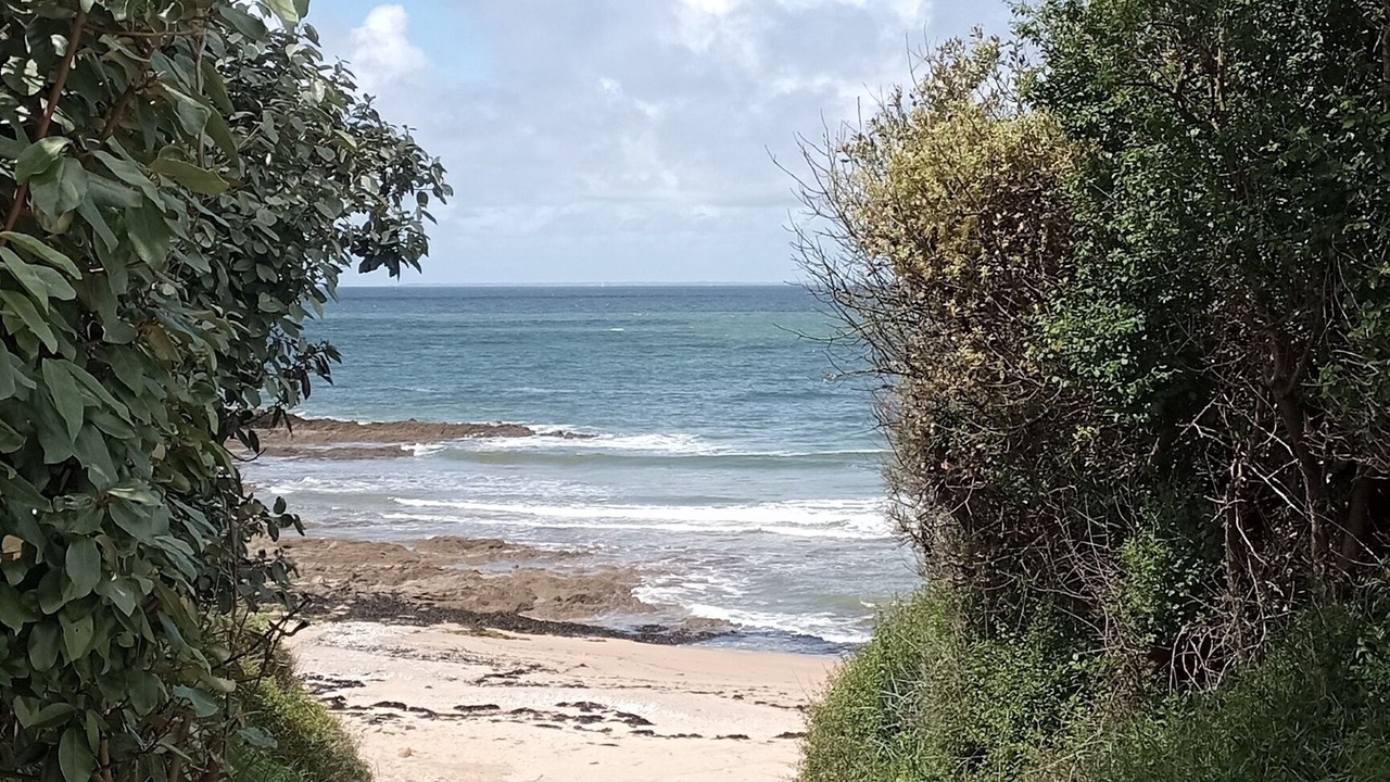 Photo of Others in Quimiac