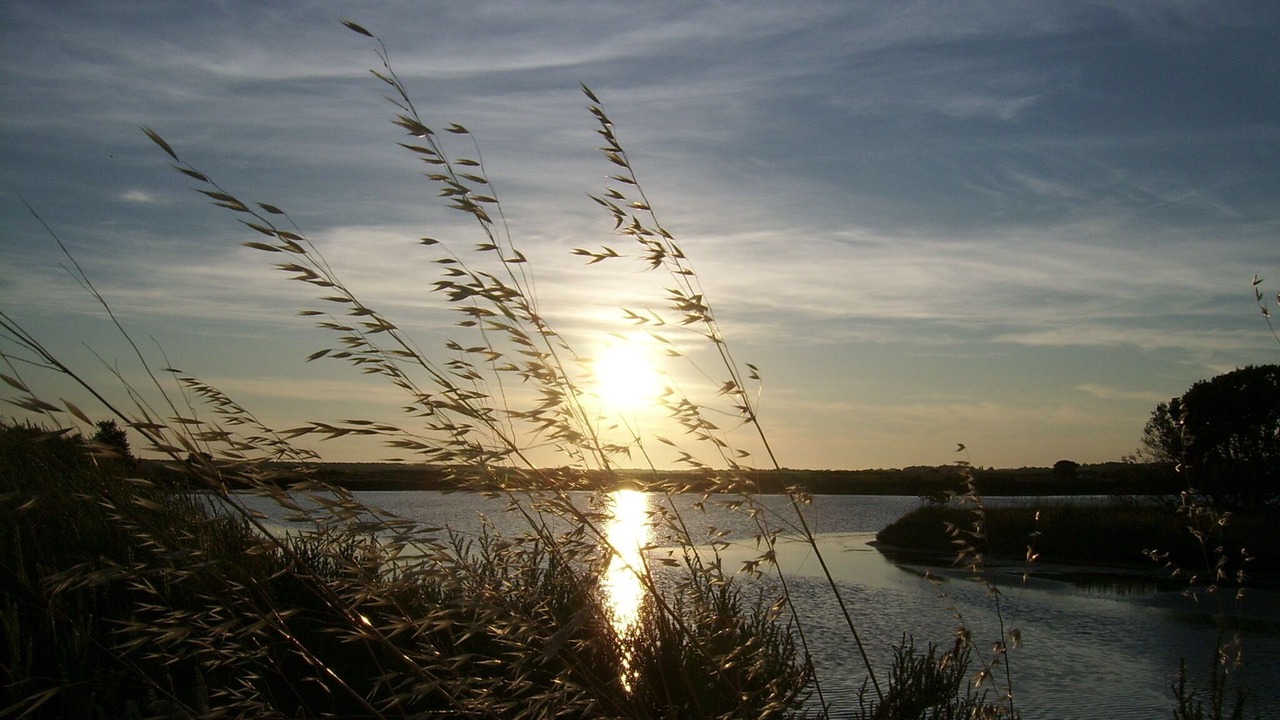 Photo of Others in Quimiac