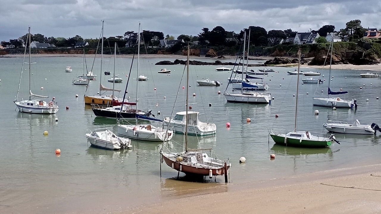 Photo of Others in Quimiac