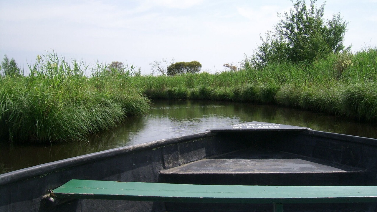 Photo of Outdoor in Quimiac