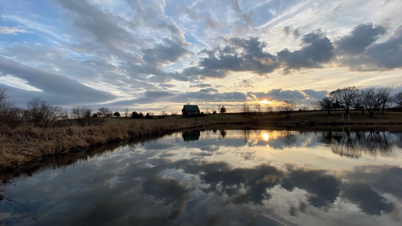 Photo of Others in Lucas County