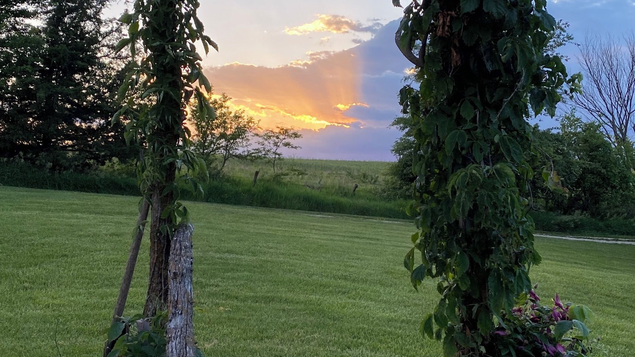 Photo of Outdoor in Lucas County