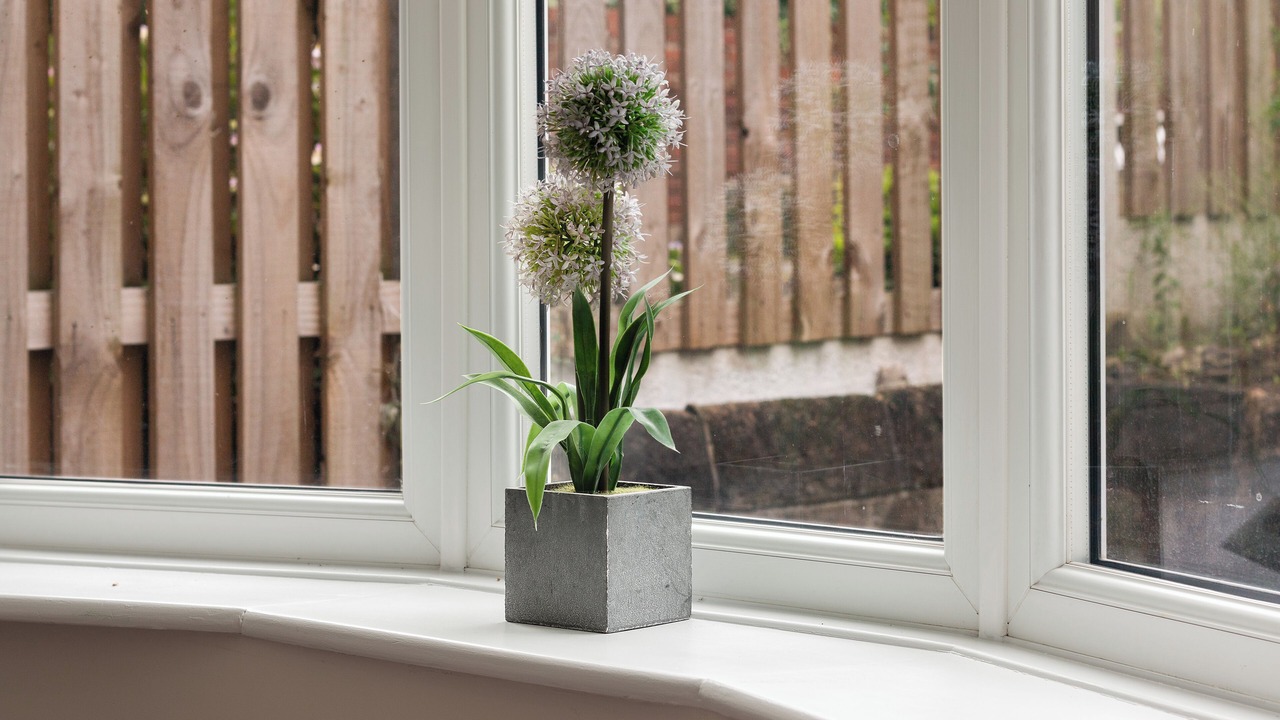 Photo of Others in Hillsborough