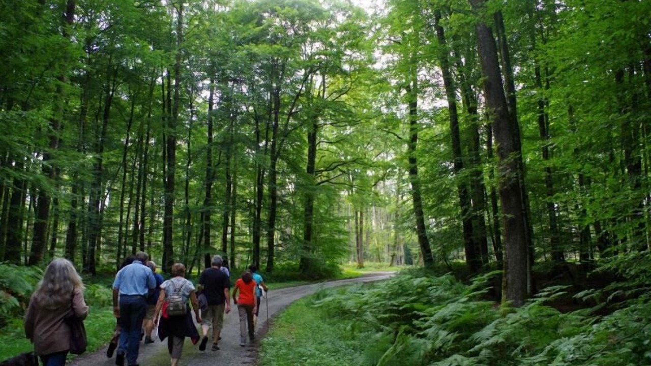 Photo of Others in Belleme