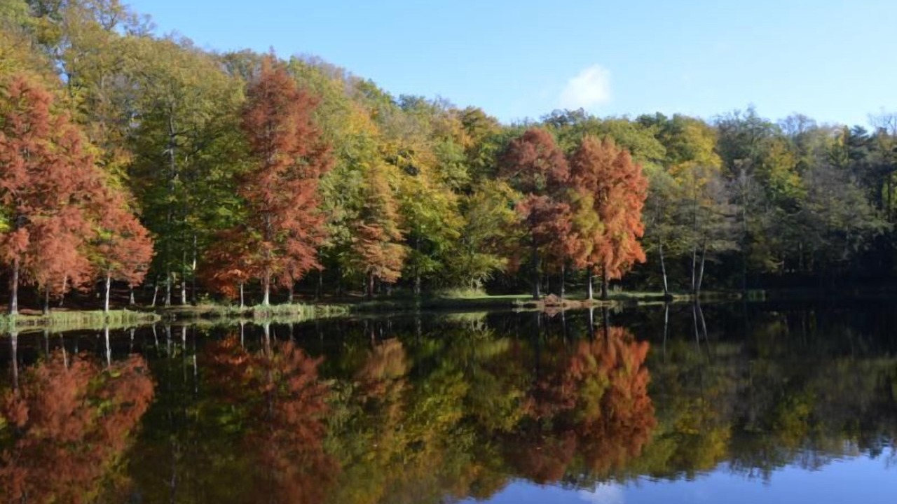 Photo of Others in Belleme