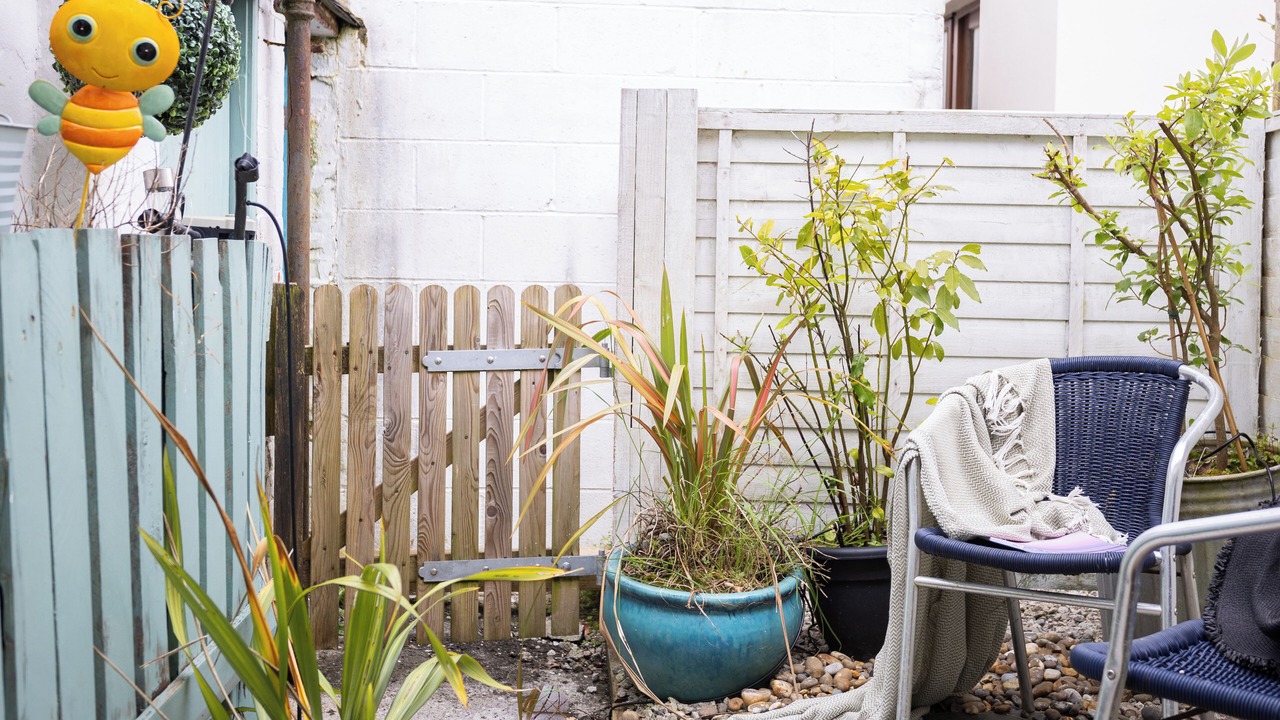 Photo of Outdoor in Wadebridge