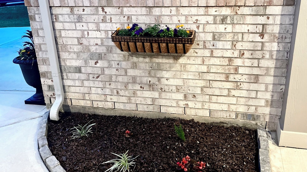 Photo of Outdoor in New Caney