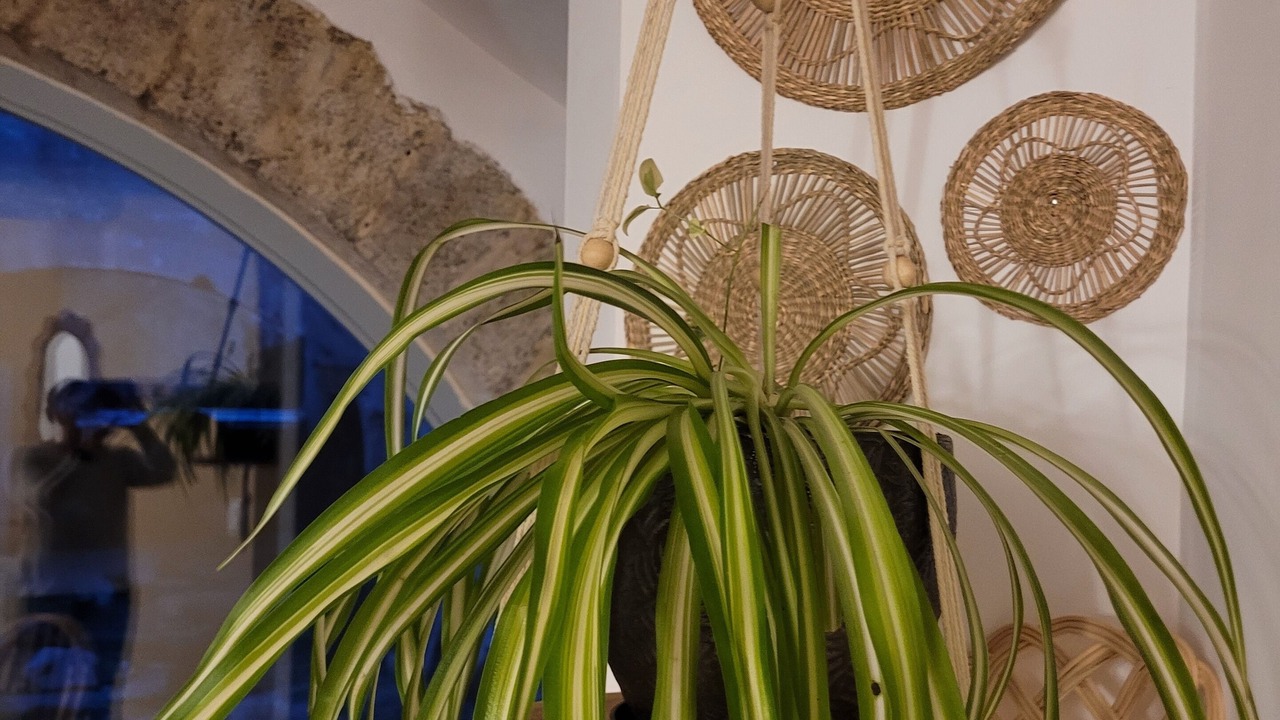 Photo of Outdoor in Congenies