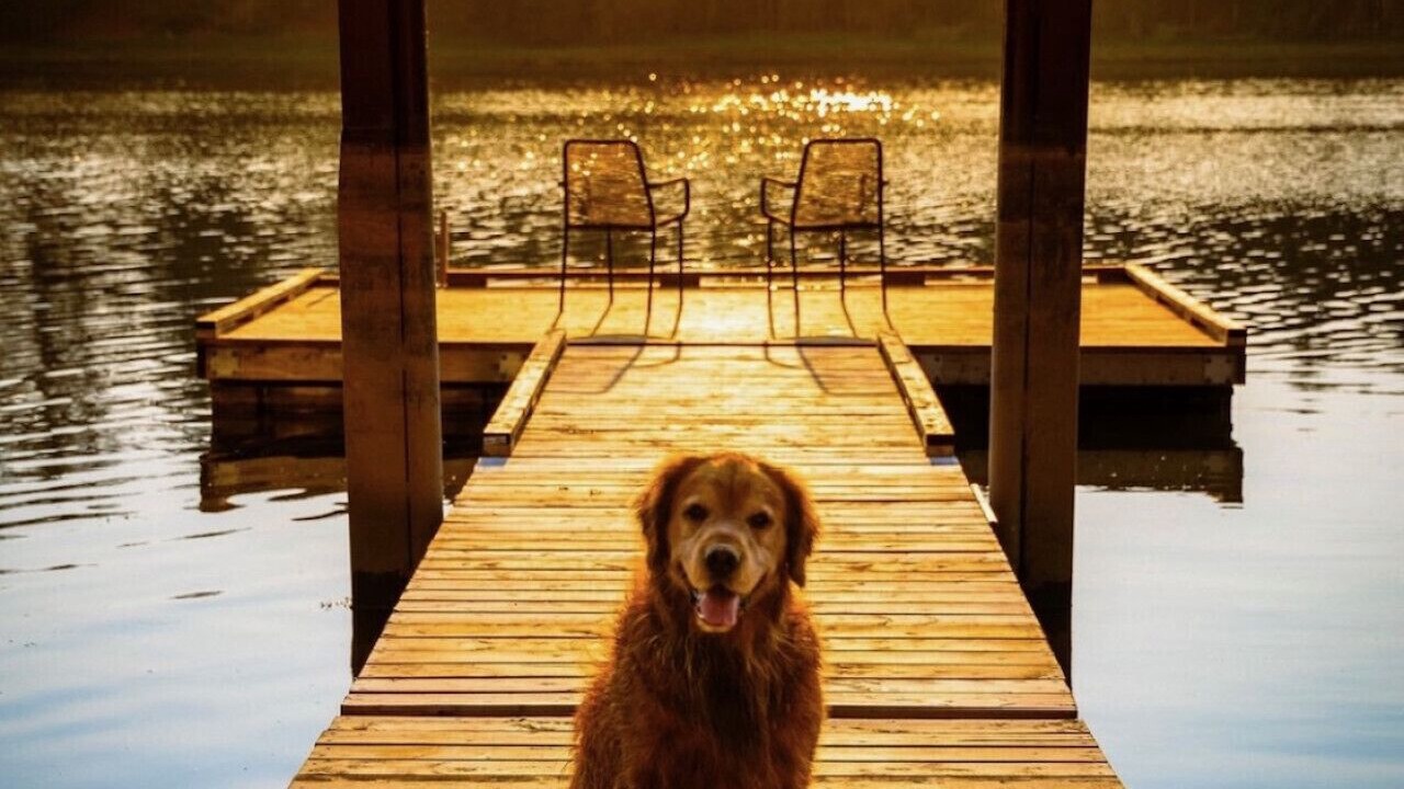 Photo of Others in Saint Croix