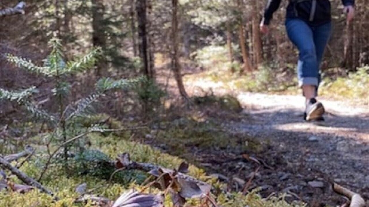 Photo of Others in Saint Croix