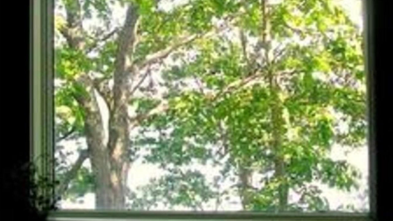 Photo of Others in Cushing