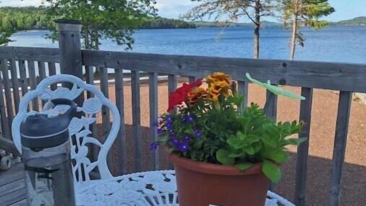 Photo of Outdoor in Point Leamington