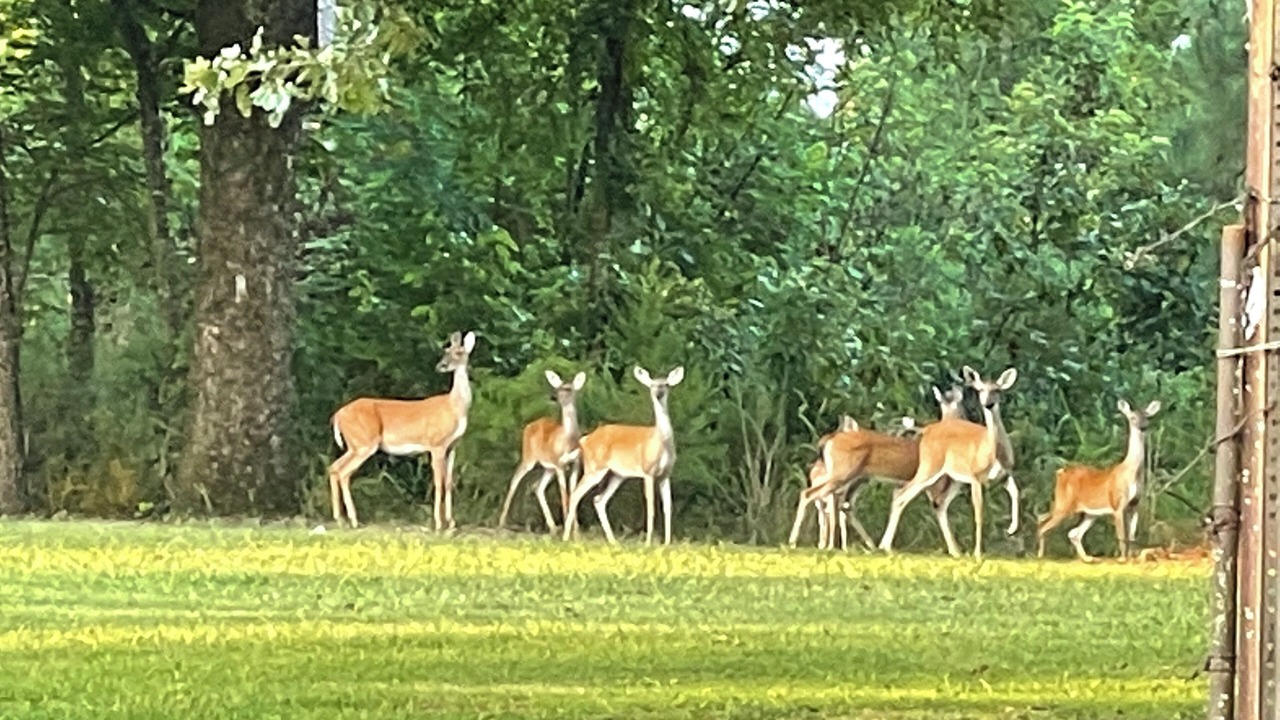 Photo of Others in Murfreesboro