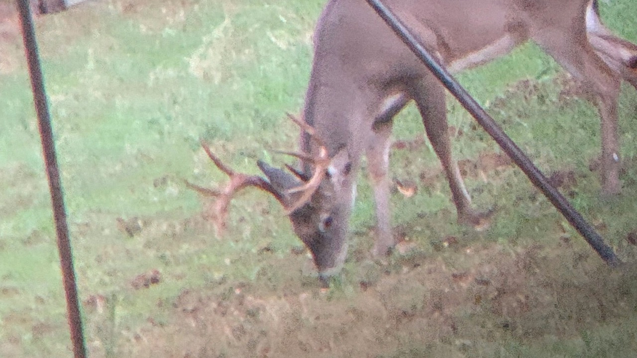 Photo of Others in Murfreesboro
