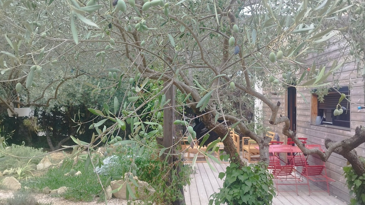 Photo of Outdoor in Villevieille