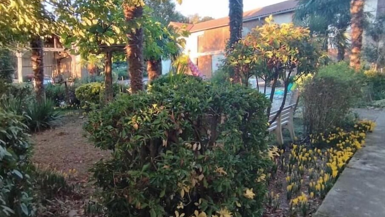 Photo of Outdoor in Puydarrieux